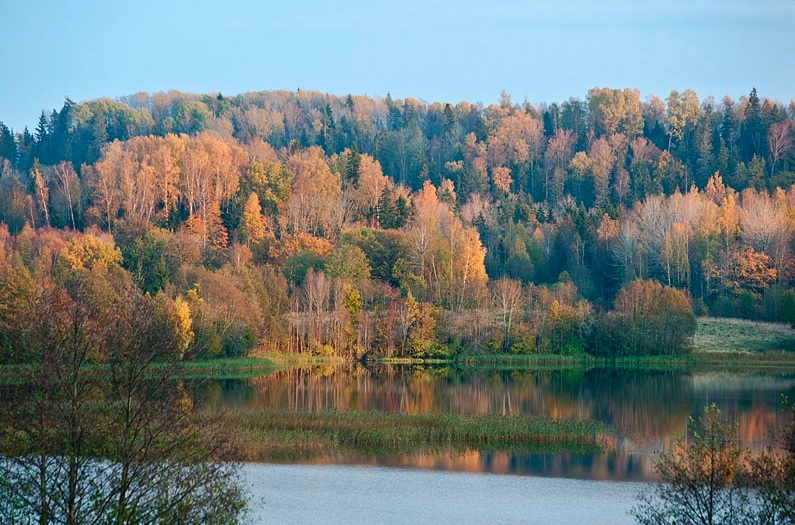mt_ignore:kasupaev
