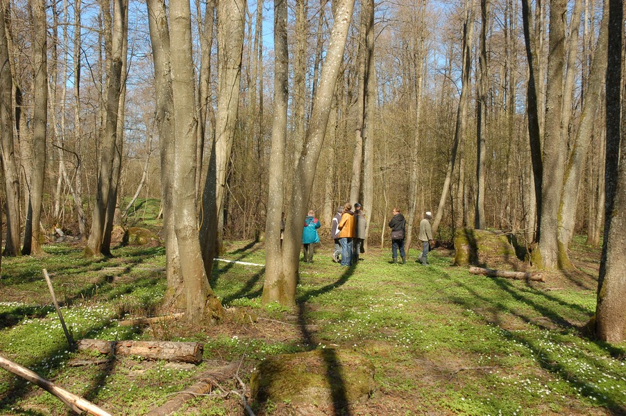 Maardu Hiiemets, 29.04.10224 (2011)