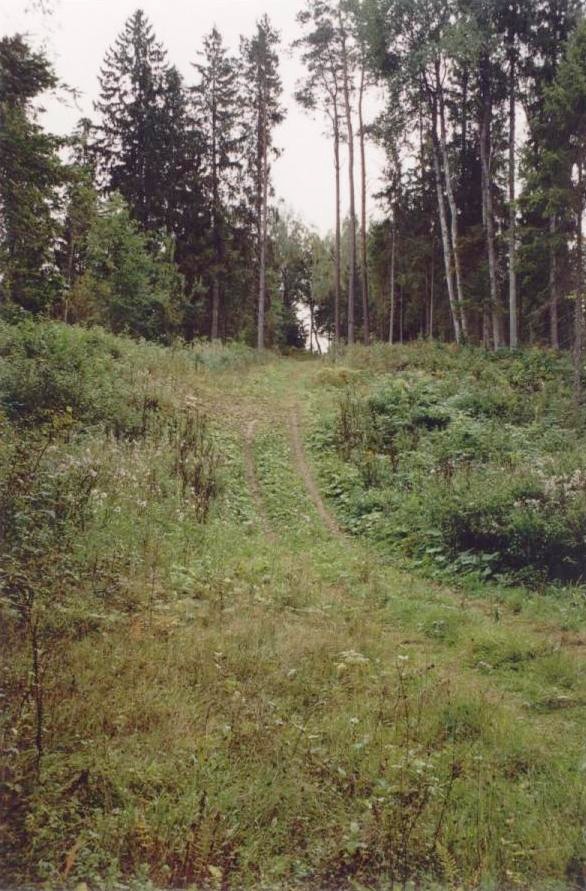 Põhjatee hiiemäe tippu