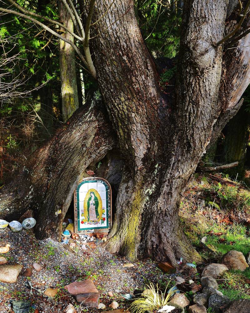 Tree Shrine