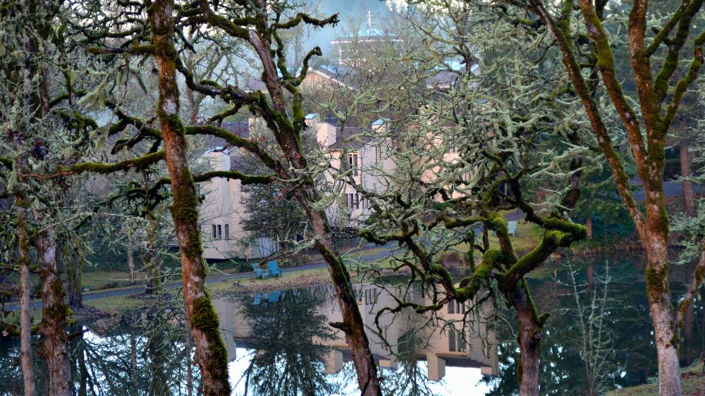 Abbey through the Oaks