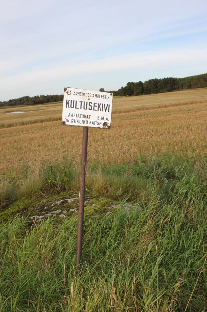 Raveliku küla kultusekivi 