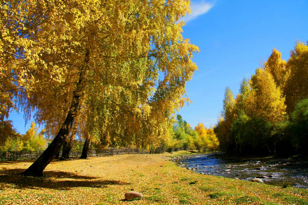 Осенний полдень