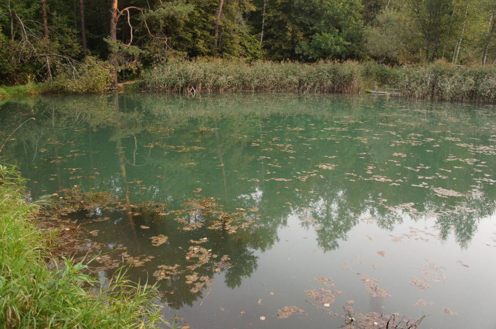 Полезная вода