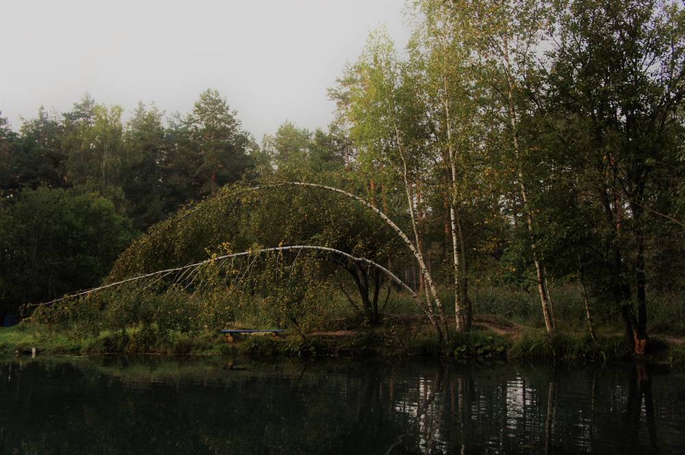 Полезная вода