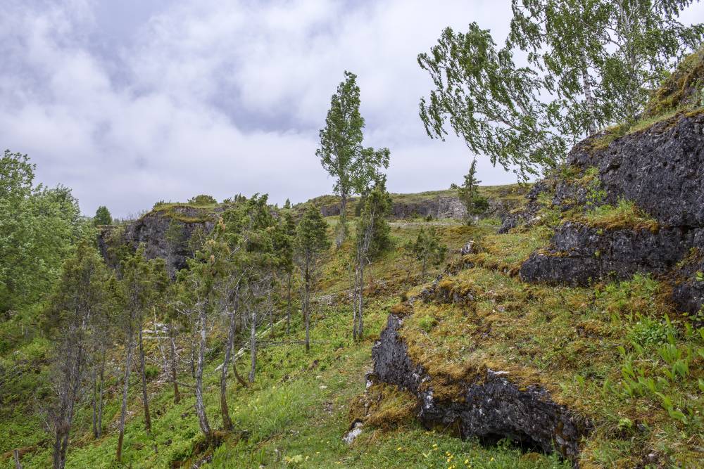 Üügu kõrge kallas