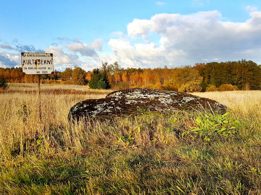 Mõdriku kultusekivi 