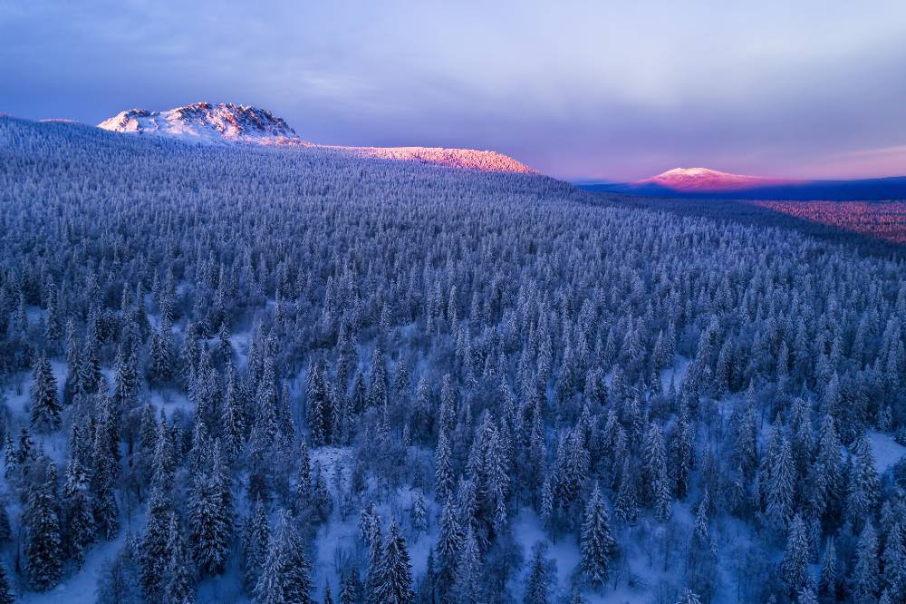 Долина сказок