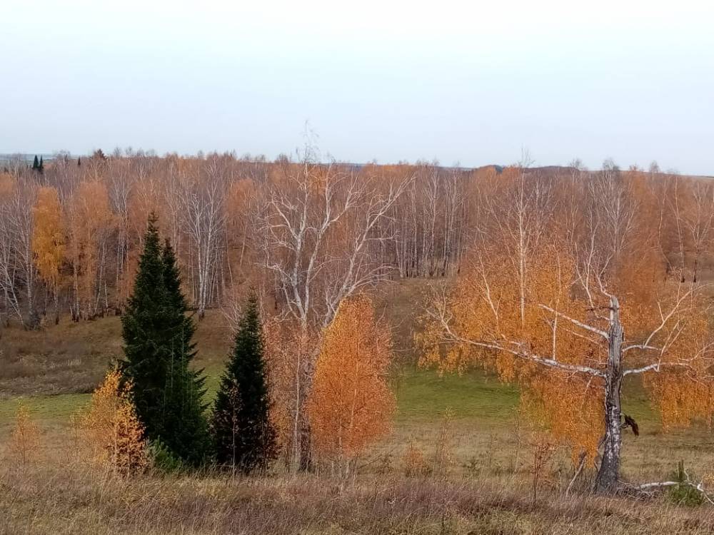 Вид на деревню