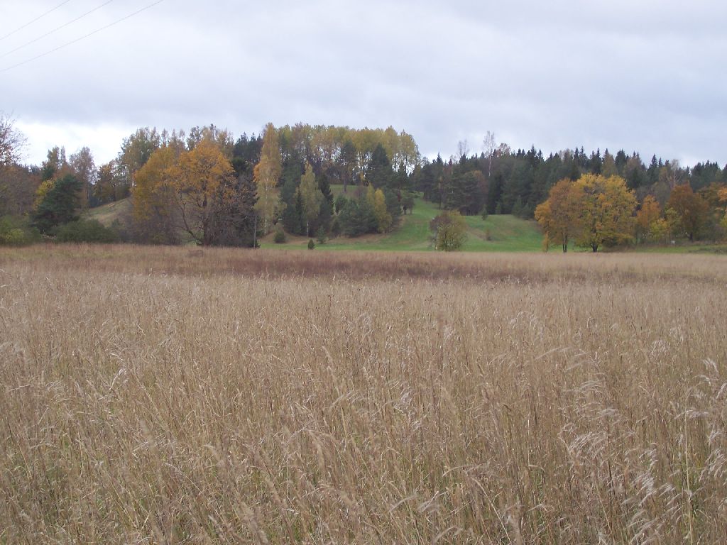 Paluküla hiiemägi