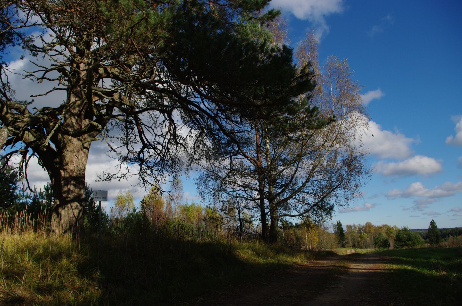 Kadõni  ristipettäi