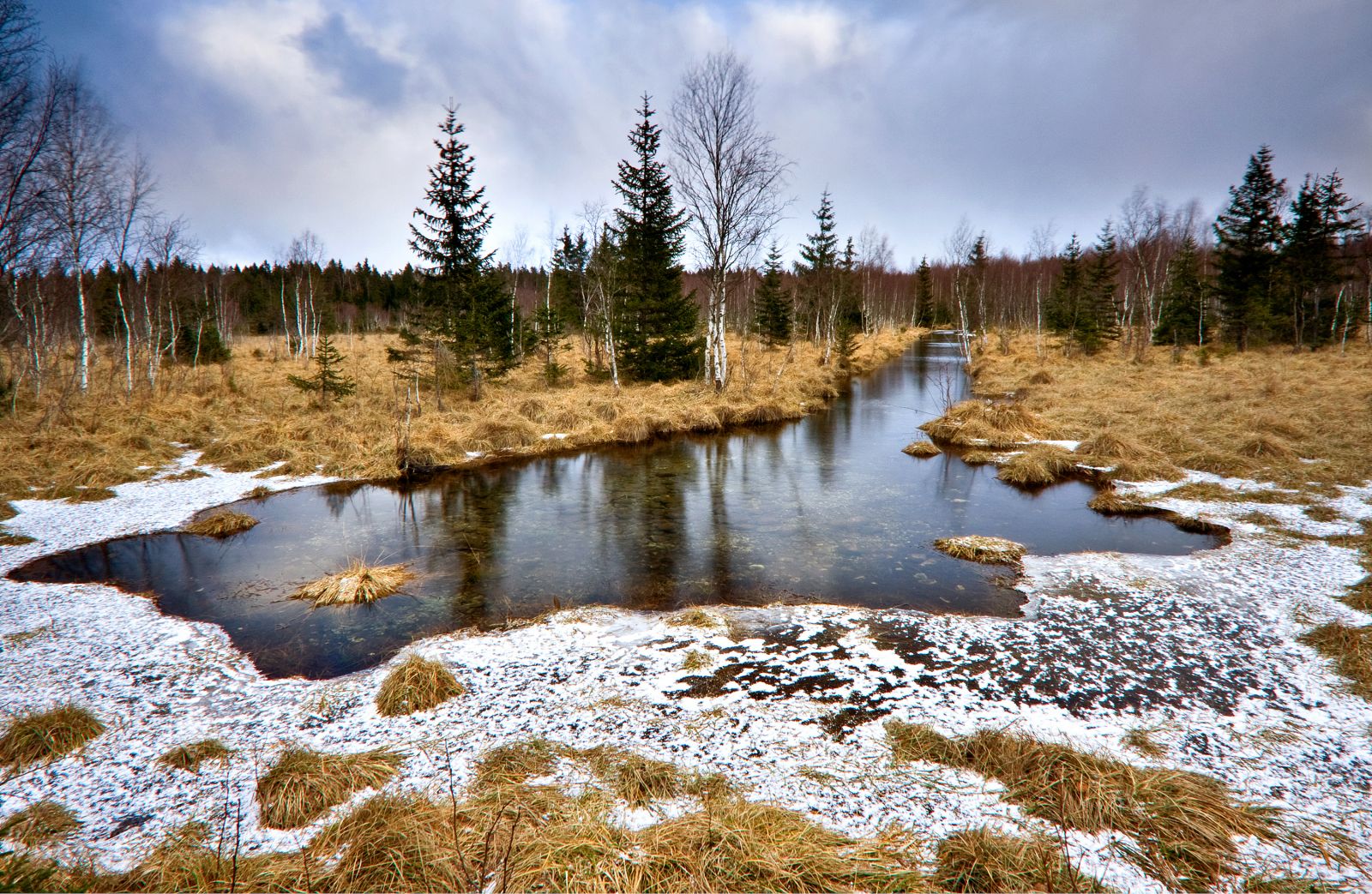 Lumelinikuga Silmaallikas 