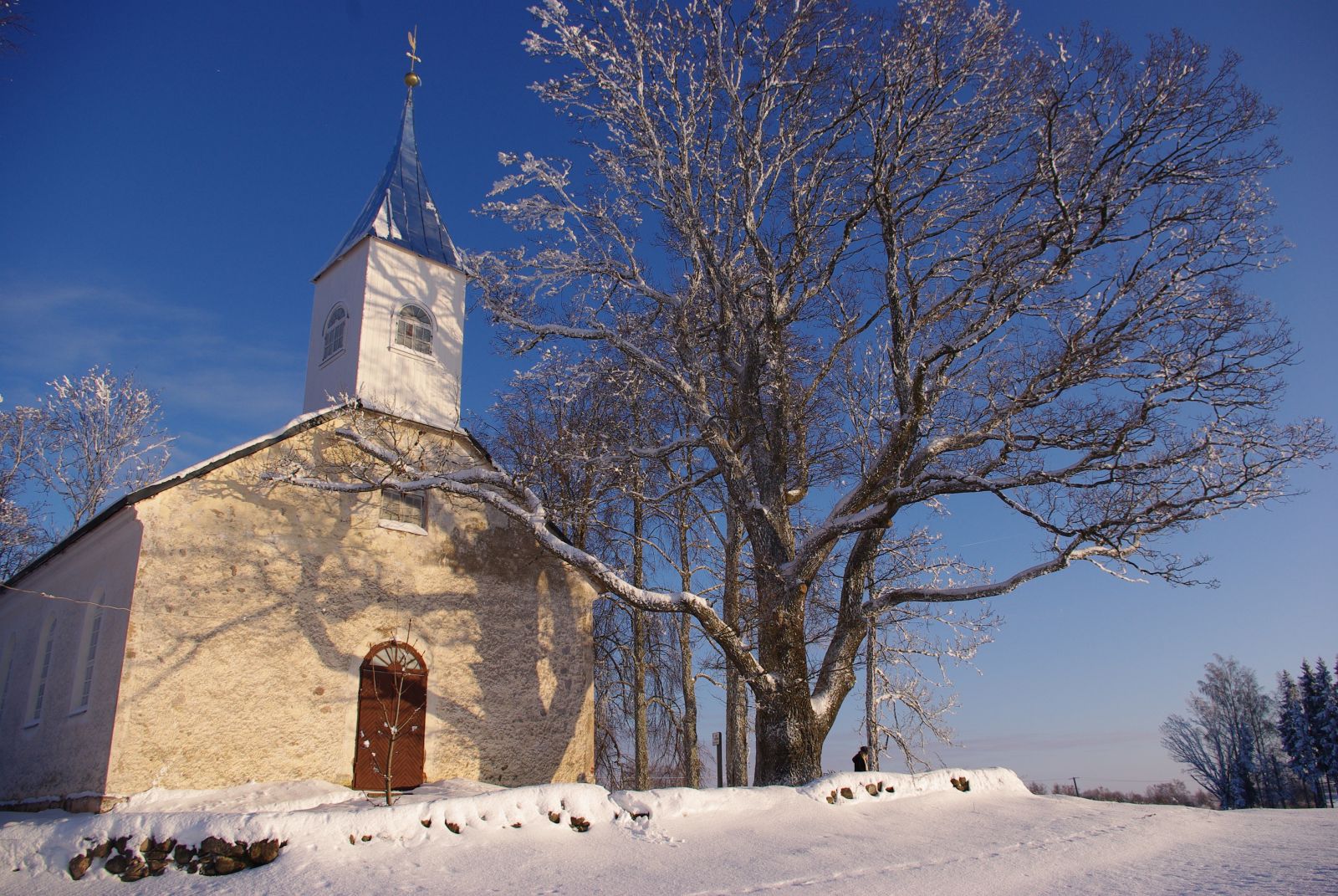 Vara ohvritamm