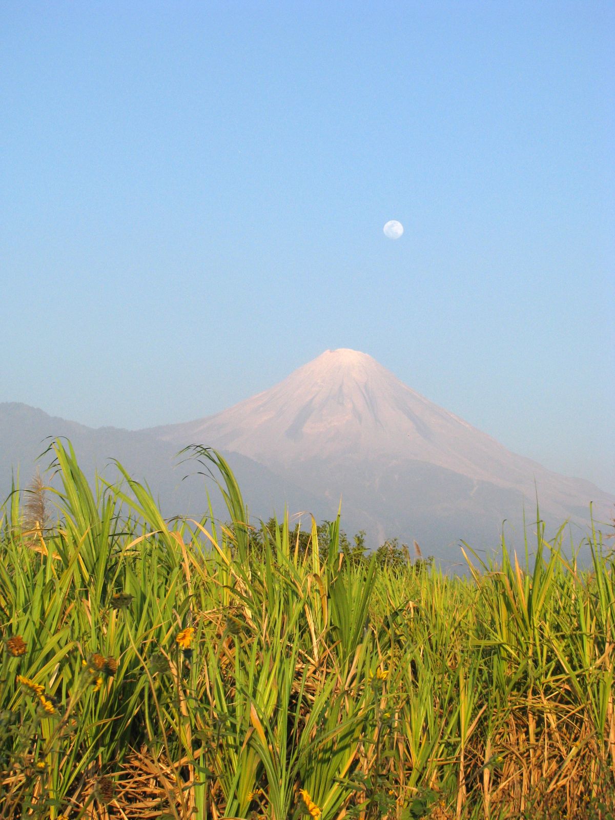 Colima vulkaan