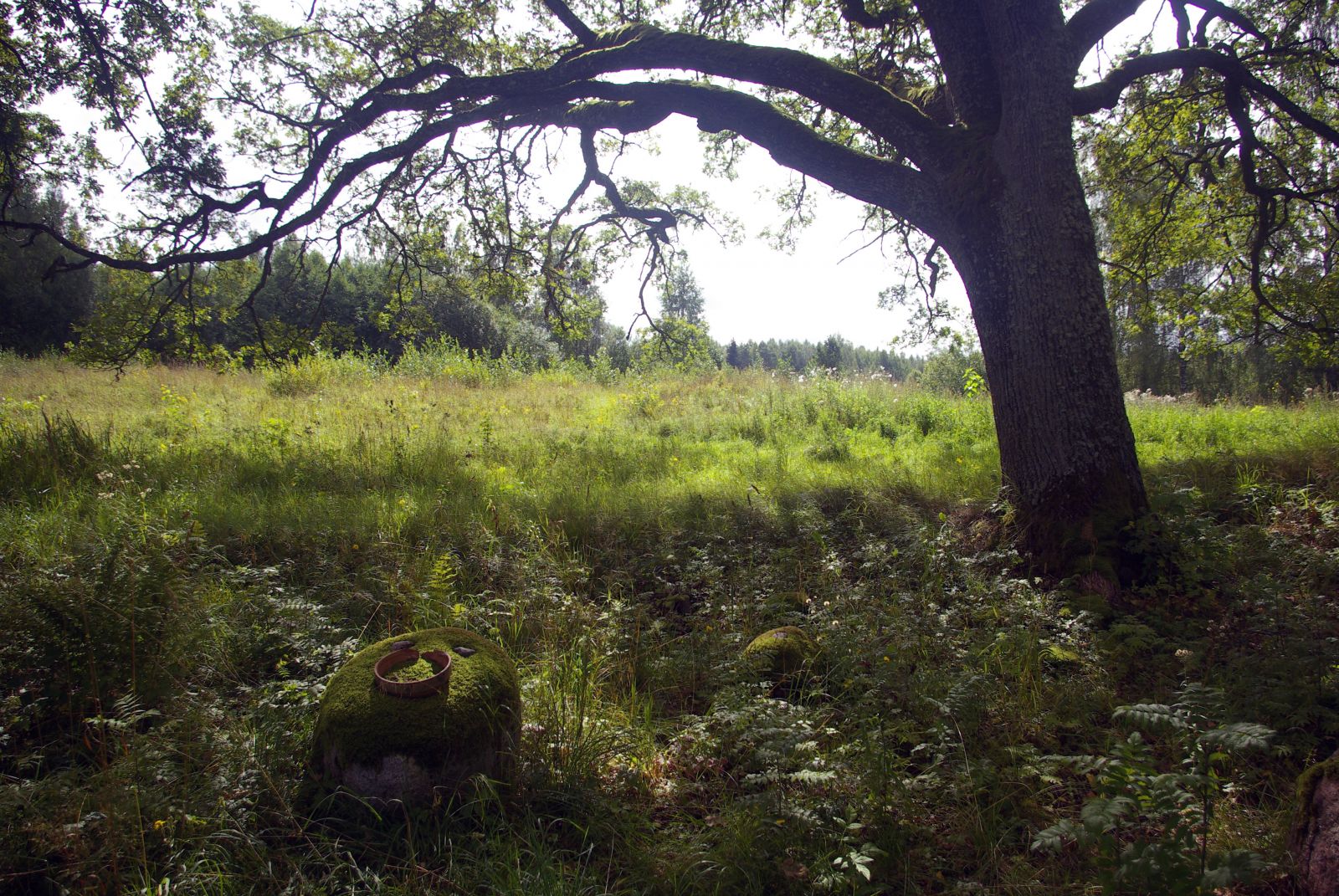 Tsõõrist välja