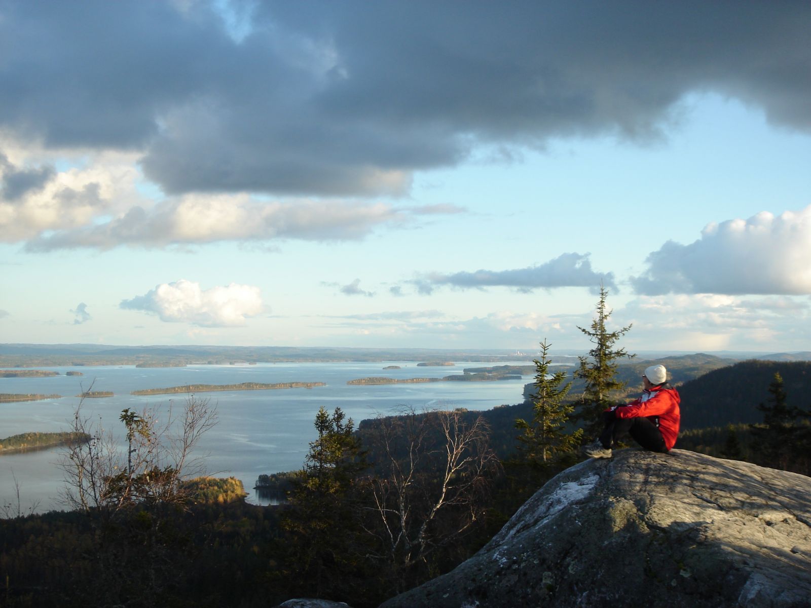 Koli