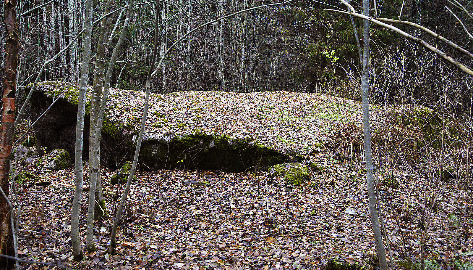 Ala nõiakivi (ohvrikivi)