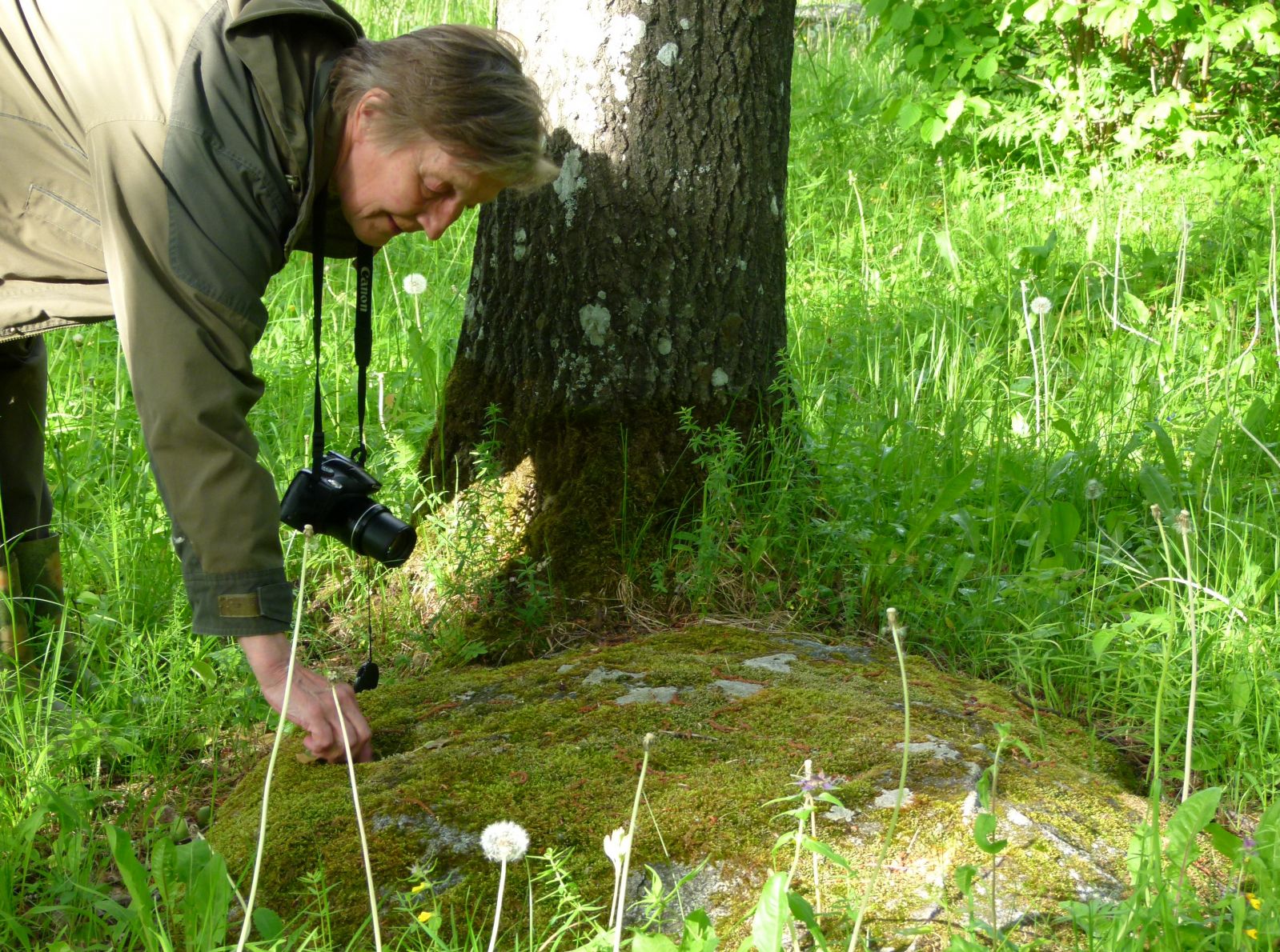 Teeline Järvamaal