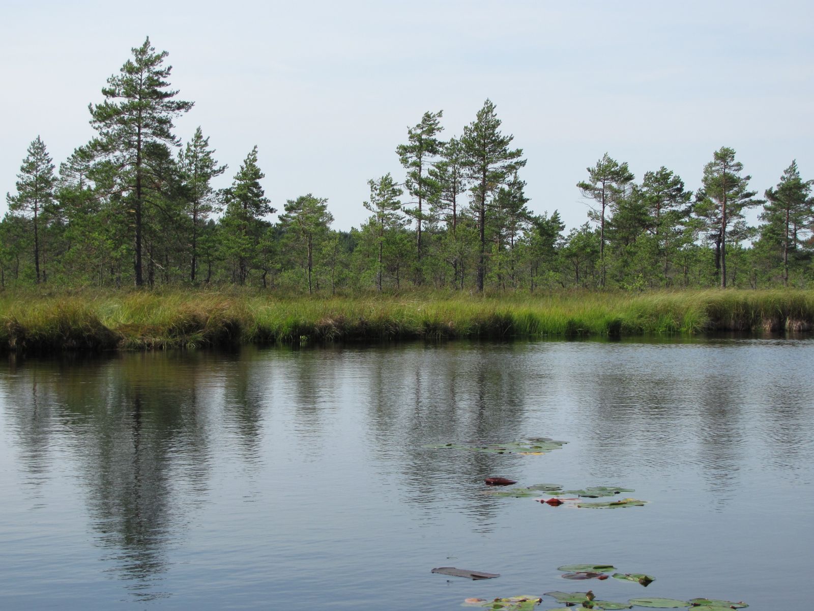 Lao järv