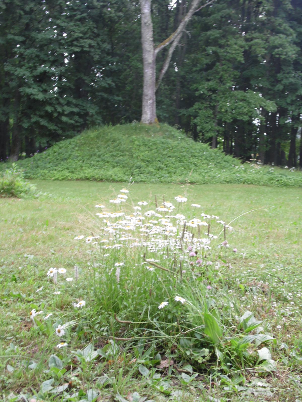 Unipiha mõisapark.