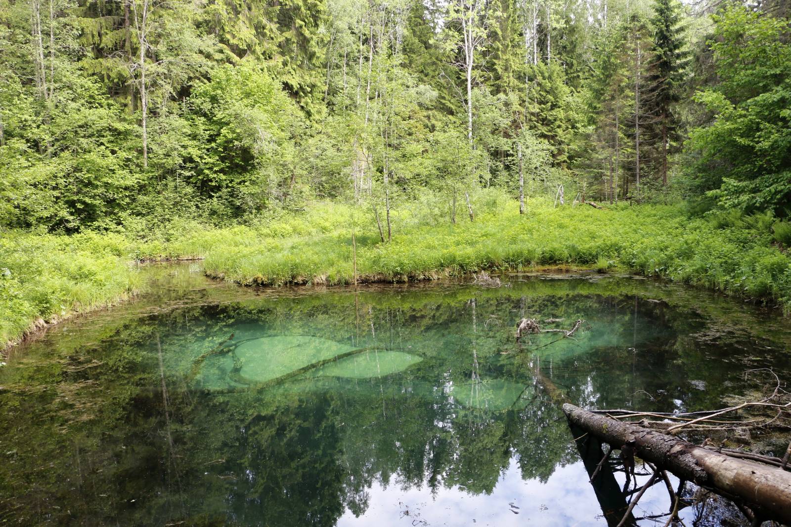 Saula Siniallikas I