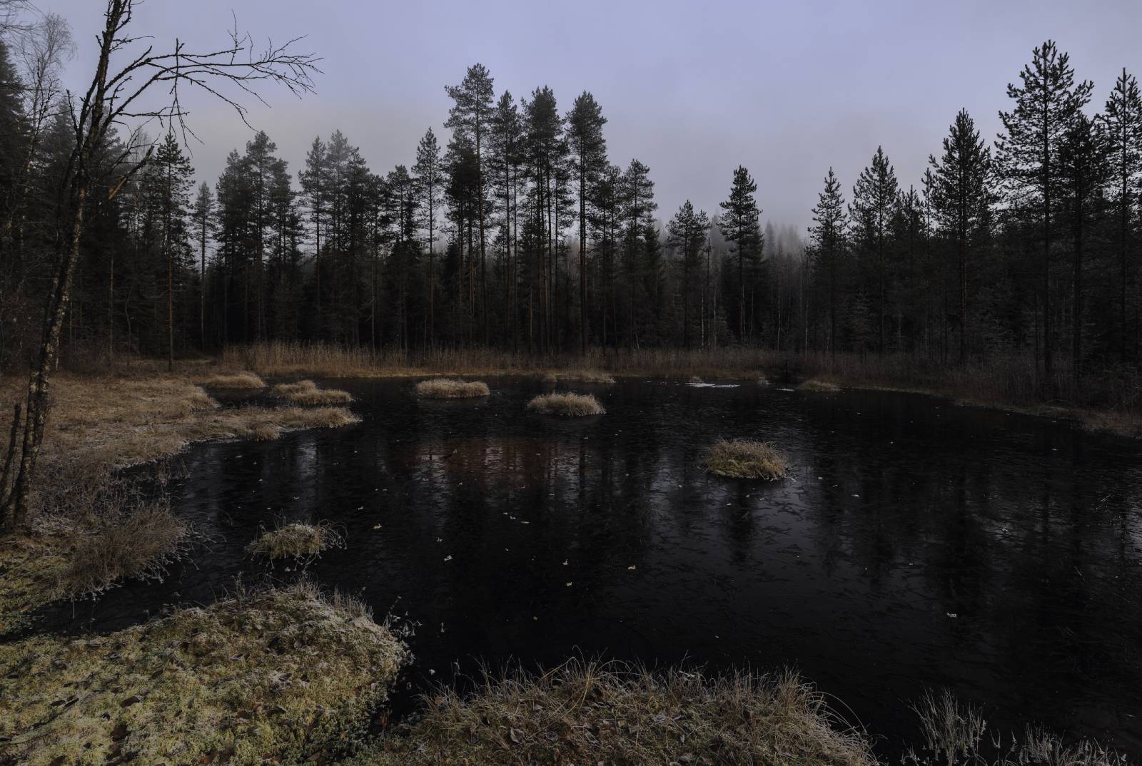 One night's ice at Sohmeronlähde 