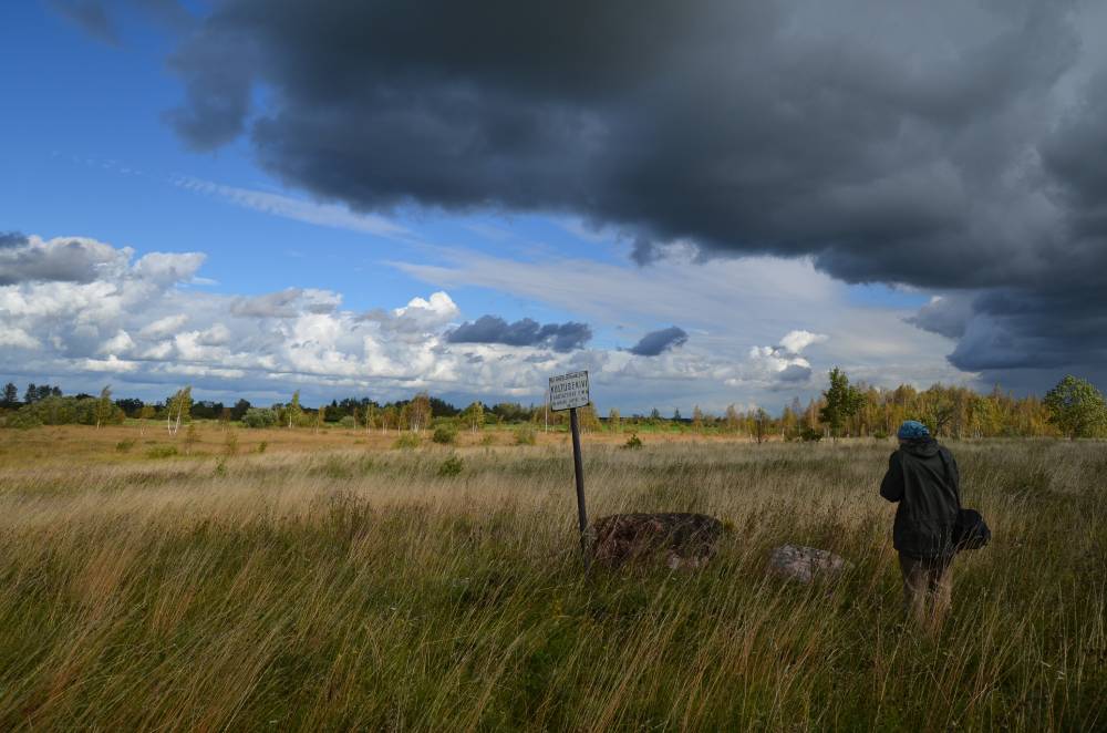 Säära-Jaani ohvrikivi.