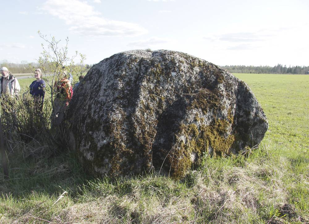 Hageri hiiekivi. Verekivi