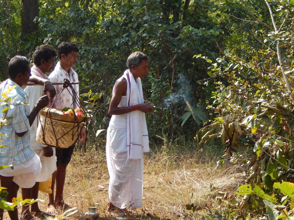 Prayer at sacred forest