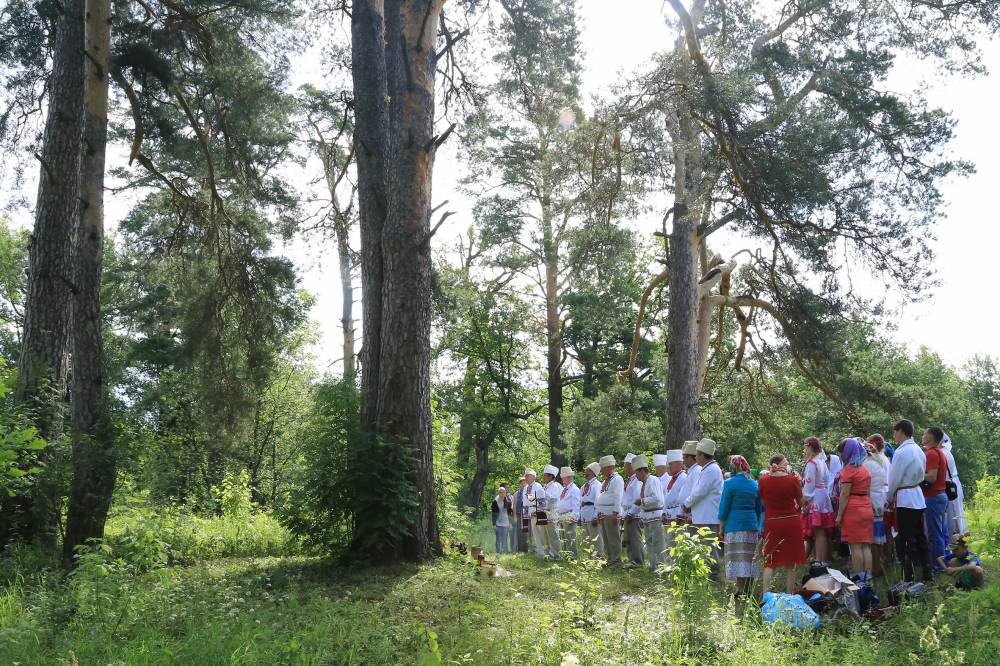 «Пӱнчер ото Тумер алан» -  Дубовая поляна Сосновой рощи. 