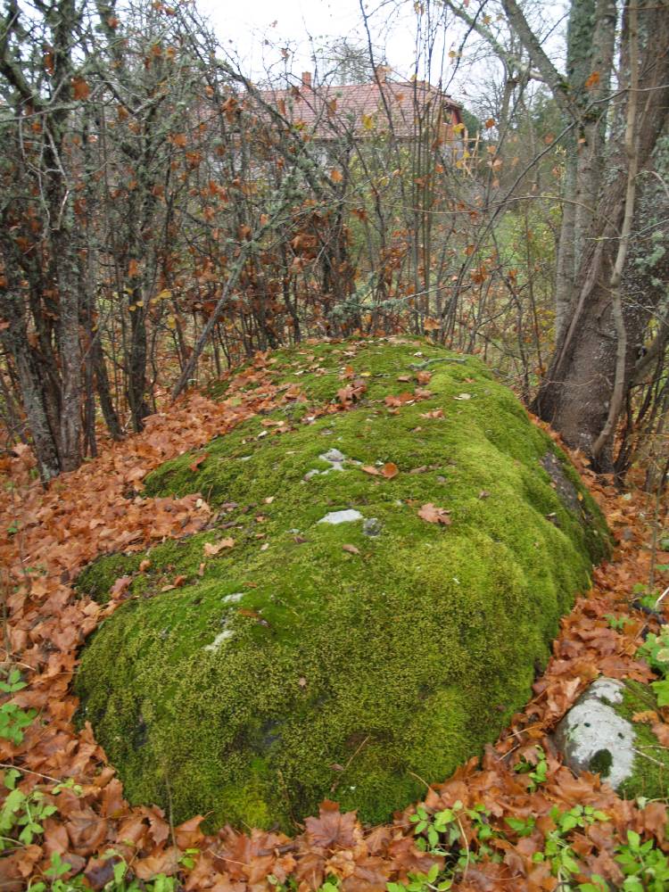 Samblaga kaetud esivanemate lugu