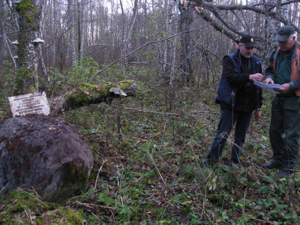 Paduvere ohvrikivi (1)