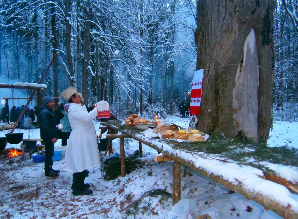 Древний дуб - Онапу (священное дерево) и первые молитвы большого дня. Vana tamm - Onapu (pühapuu) ja suure päeva esimesed palved.