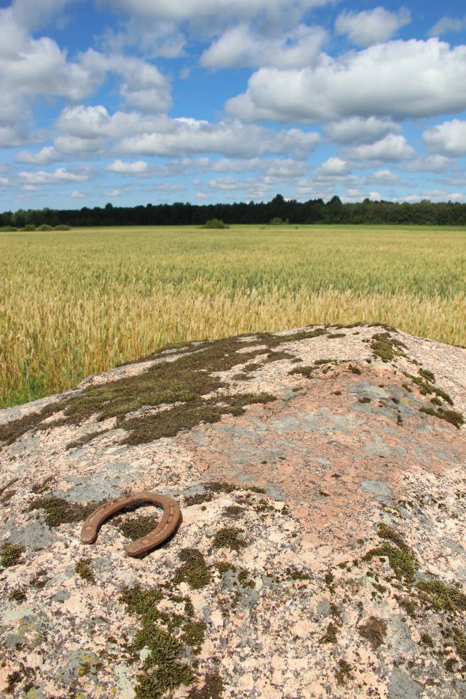 Võitra hiiekivi 1