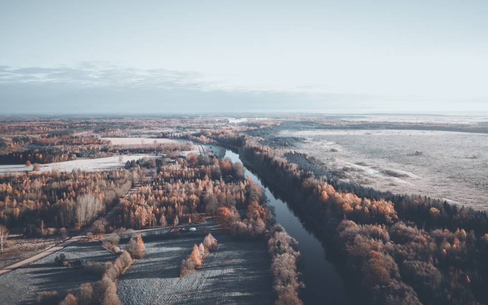 Härmatises Soomaa raba hommikupäikese kumas