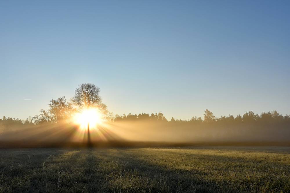 Valgusemäng