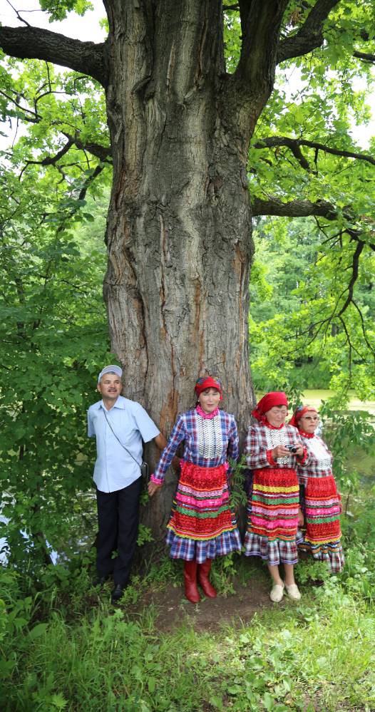 «Пӱнчер ото Тумер алан»