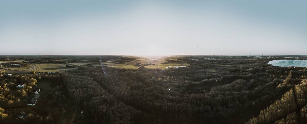 Päikese paitavad kiired Maardu hiiemetsa kohal