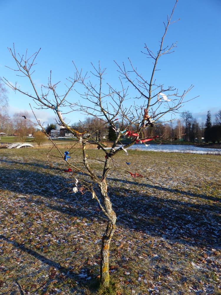 Pühajärve sõjatamm junior