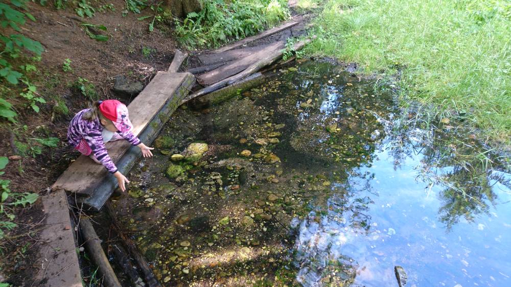 Järgmine põlvkond allikal