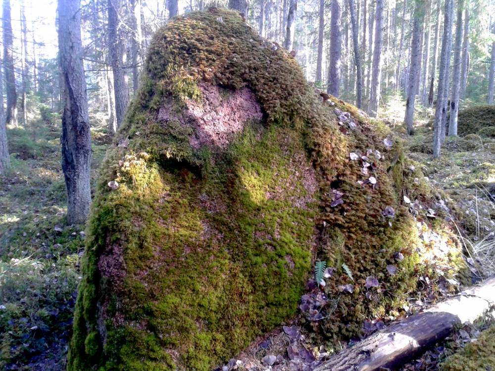 Varetnõmme kivikangru vardija