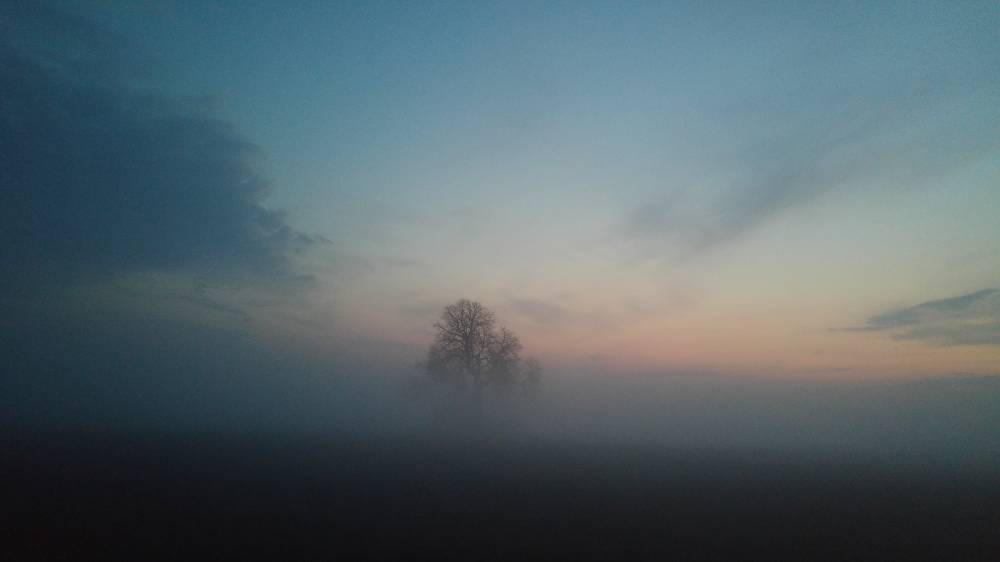 Järvepere ohvripärnad mattumas uttu