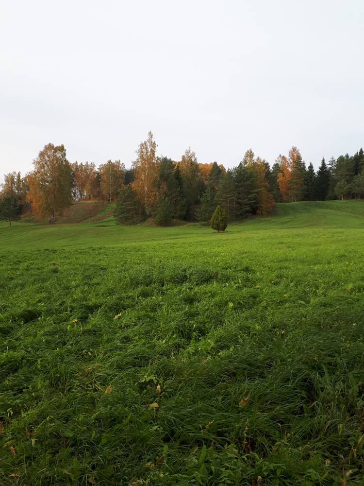 Paluküla hiiemägi