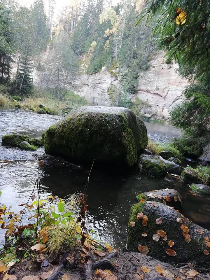 Taevaskoda