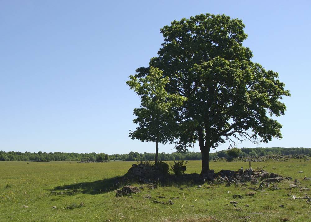 Varanduse hoidja