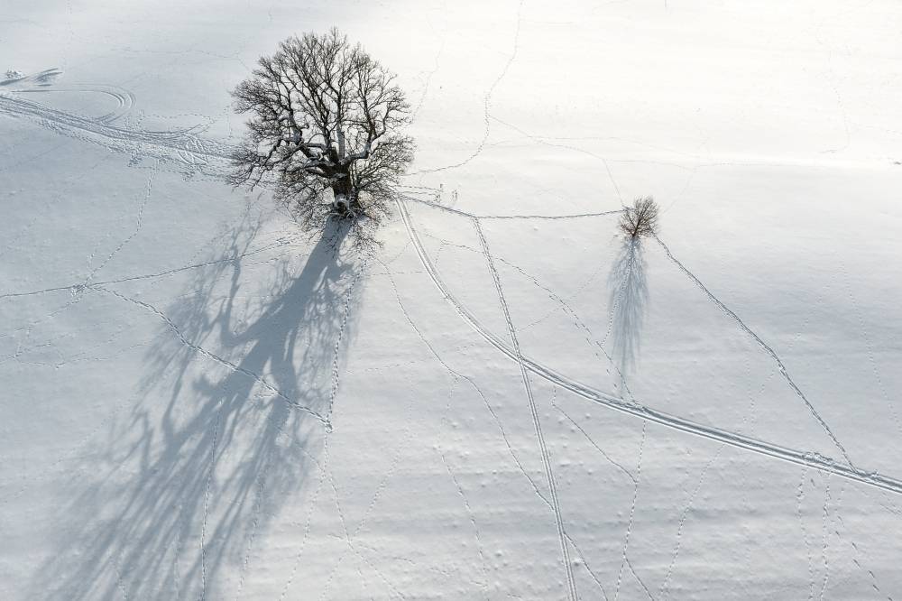 Varjuna su kannul käin