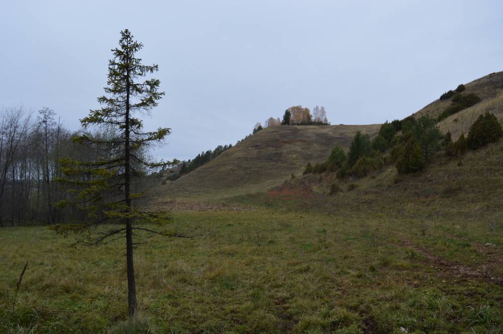 Лудгурезь