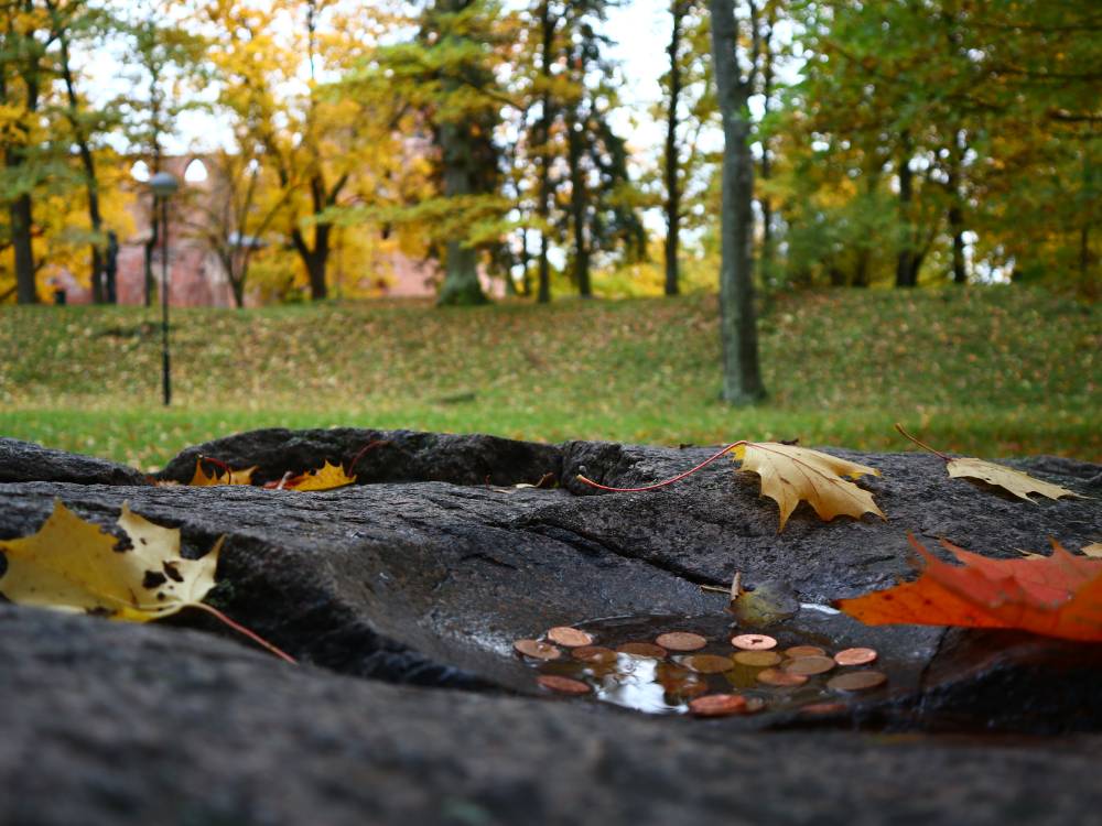 Ohvrikivi Tartu Toomemäel