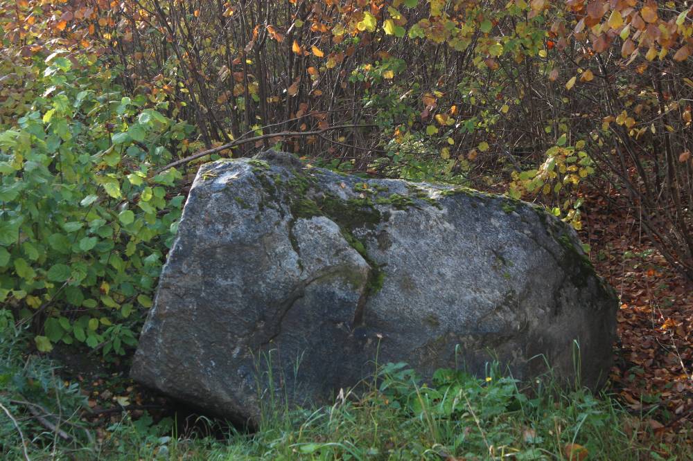 Katslaaugu kivi