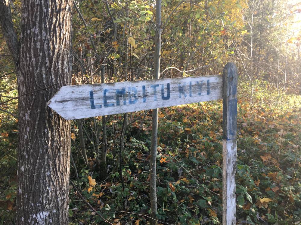 Vanamõisa Tammemägi